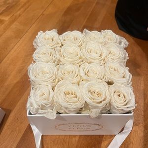 VENUS ET FLEUR flowers